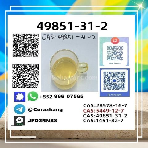 BMK powder CAS5449-12-7 Glycidic Acid sodium salt stable supply