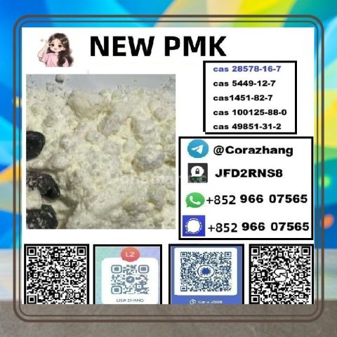 BMK powder CAS5449-12-7 Glycidic Acid sodium salt stable supply