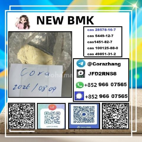 BMK powder CAS5449-12-7 Glycidic Acid sodium salt stable supply