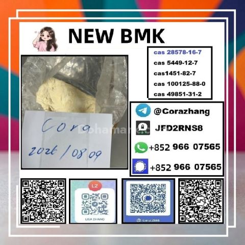 BMK powder CAS5449-12-7 Glycidic Acid sodium salt stable supply