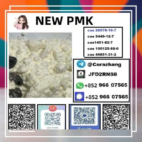 BMK powder CAS5449-12-7 Glycidic Acid sodium salt stable supply
