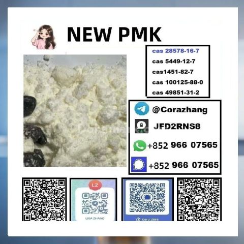 BMK powder CAS5449-12-7 Glycidic Acid sodium salt stable supply