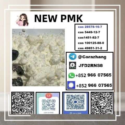 BMK powder CAS 5449-12-7 Glycidic Acid sodium salt stable supply