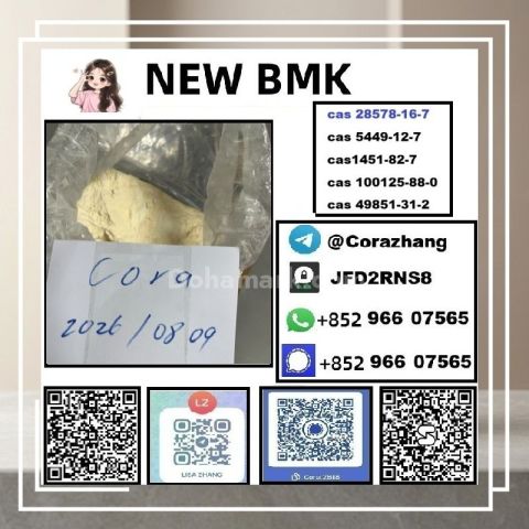 BMK powder CAS 5449-12-7 Glycidic Acid sodium salt stable supply