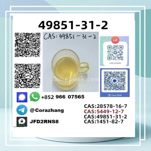 BMK powder CAS 5449-12-7 Glycidic Acid sodium salt stable supply