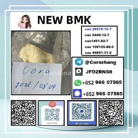 BMK powder CAS 5449-12-7 Glycidic Acid sodium salt stable supply
