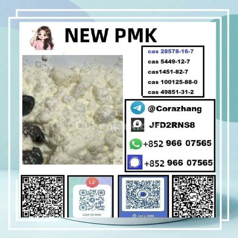 BMK powder CAS 5449-12-7 Glycidic Acid sodium salt stable supply