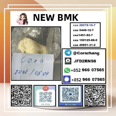 BMK powder CAS 5449-12-7 Glycidic Acid sodium salt stable supply