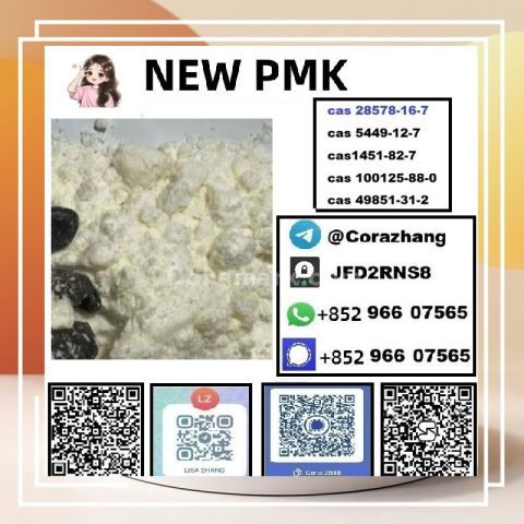 BMK powder CAS 5449-12-7 Glycidic Acid sodium salt stable supply