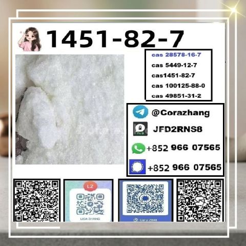 BMK powder CAS 5449-12-7 Glycidic Acid sodium salt stable supply