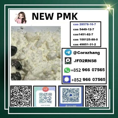 BMK powder CAS 5449-12-7 Glycidic Acid sodium salt stable supply