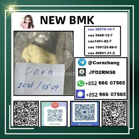 BMK powder CAS 5449-12-7 Glycidic Acid sodium salt stable supply