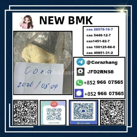 BMK powder CAS 5449-12-7 Glycidic Acid sodium salt stable supply