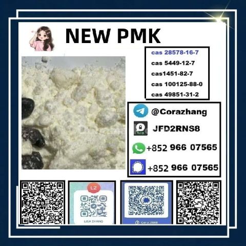BMK powder CAS 5449-12-7 Glycidic Acid sodium salt stable supply