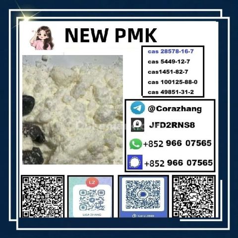 BMK powder CAS 5449-12-7 Glycidic Acid sodium salt stable supply