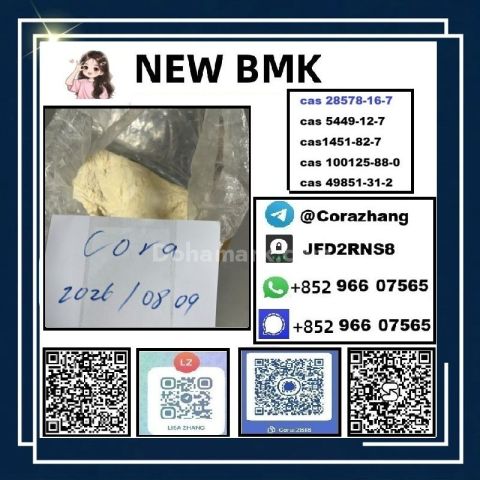 BMK powder CAS 5449-12-7 Glycidic Acid sodium salt stable supply