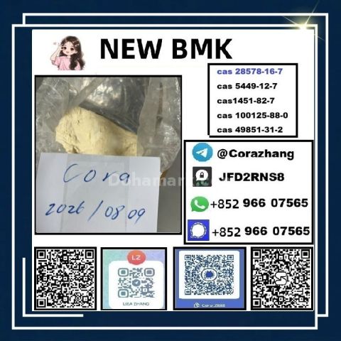 BMK powder CAS 5449-12-7 Glycidic Acid sodium salt stable supply