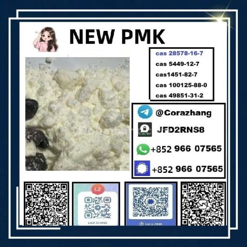 BMK powder CAS 5449-12-7 Glycidic Acid sodium salt stable supply