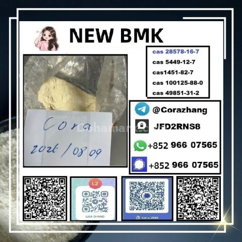 BMK powder CAS 5449-12-7 Glycidic Acid sodium salt stable supply