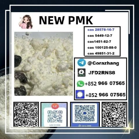 BMK powder CAS 5449-12-7 Glycidic Acid sodium salt stable supply