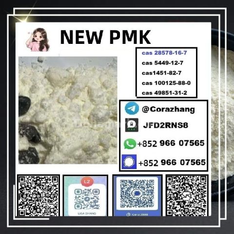 BMK powder cas5449-12-7 Glycidic Acid sodium salt stable supply