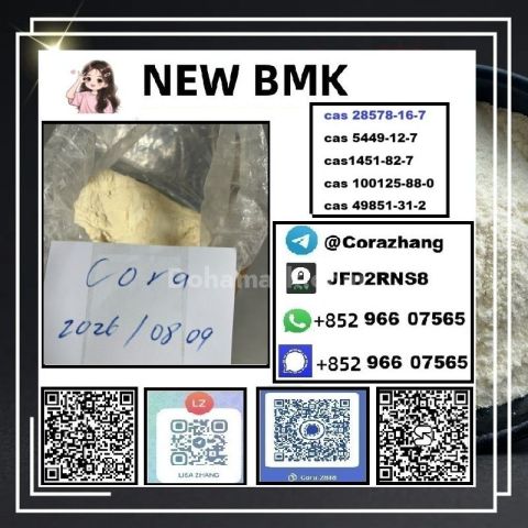 BMK powder cas5449-12-7 Glycidic Acid sodium salt stable supply