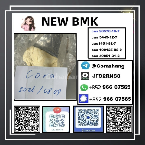 BMK powder cas5449-12-7 Glycidic Acid sodium salt stable supply