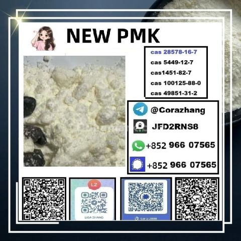 BMK powder cas5449-12-7 Glycidic Acid sodium salt stable supply
