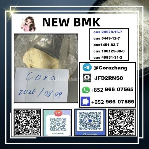 BMK powder cas5449-12-7 Glycidic Acid sodium salt stable supply