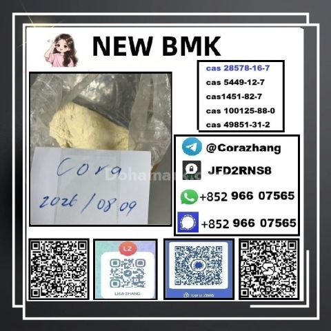 BMK powder cas5449-12-7 Glycidic Acid sodium salt stable supply