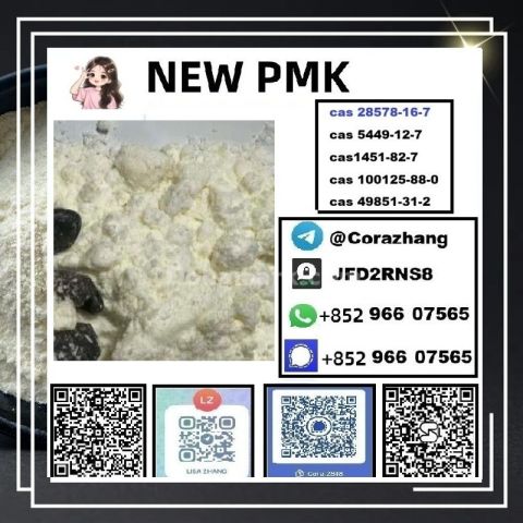 BMK powder cas5449-12-7 Glycidic Acid sodium salt stable supply