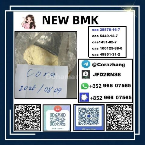 BMK powder cas5449-12-7 Glycidic Acid sodium salt stable supply