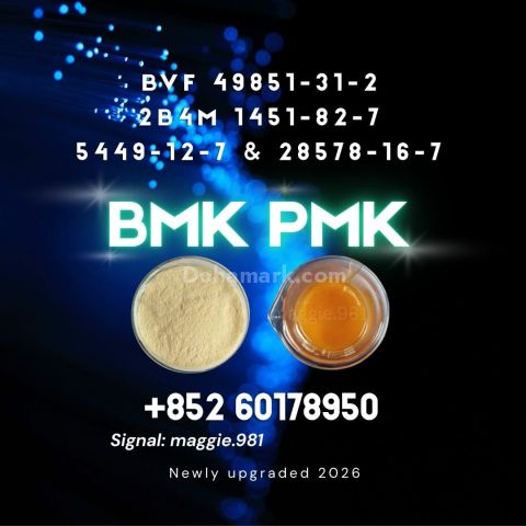 CAS 5449-12-7 New B.MK for Serious Buyers