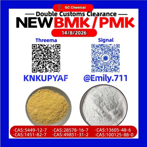 BMK 28578-16-7 نتائج الاستكشاف العلمي /13605-48-6