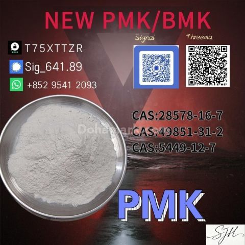 1.New P.M.K 28578-16-7 source factory