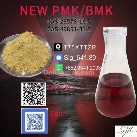 1.High Quality PMK Oil CAS 28578-16-7 | Chemical Manufacturer