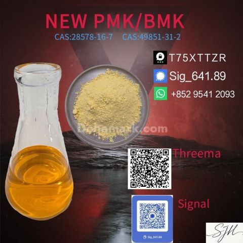 1.High Quality PMK Oil CAS 28578-16-7 | Chemical Manufacturer