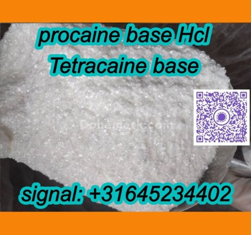 High-Quality Tetracaine Base Powder CAS 94-24-6 europe warehouse