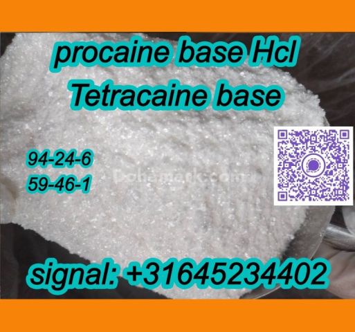 Procaine hcl,Procaine base,buy Procaine wholesale