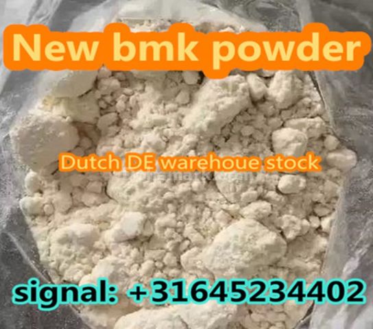 Cas 28578-16-7/20320-59-6/5413-05-8/13605-48-6 Bmk/pmk /liquid at