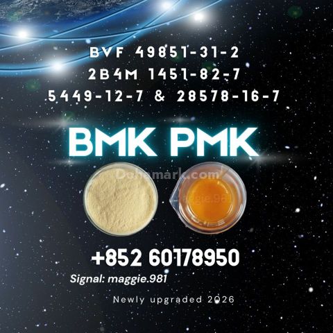 B.MK CAS 5449-12-7 PM.K 28578-16-7 Reliable supplier