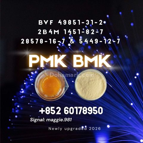CAS 28578-16-7 New PM.K B.MK Proven supplier