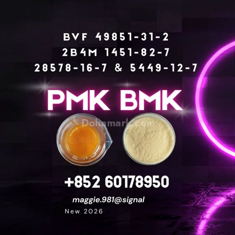 CAS 28578-16-7 New PM.K B.MK dependable quality