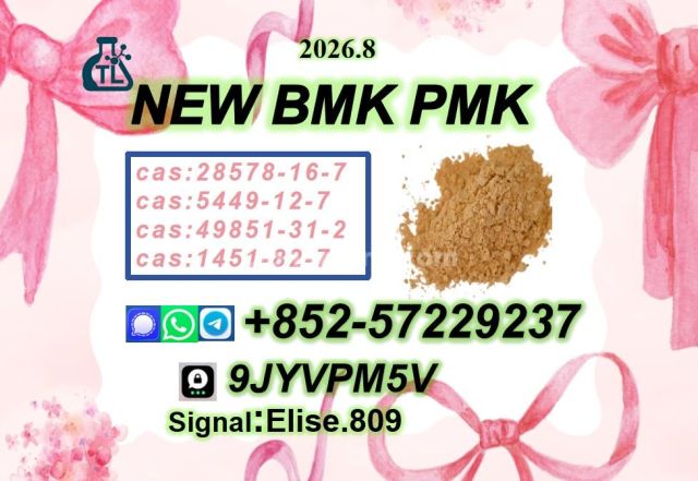 Priority coordination P-MK Oil 28578-16-7/ Hot Sale