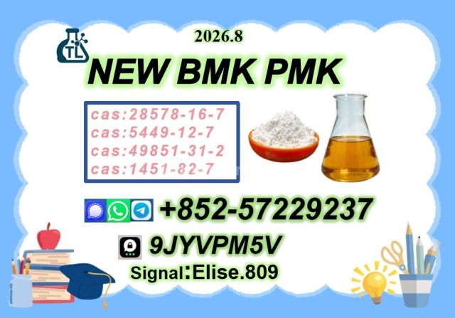 Industrial Raw Material Supplier 28578-16-7//5449-12-7
