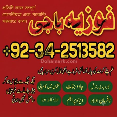 ہسبنڈ کنٹرول: التحكم بالزوج (شوہر پر قابو پانا)