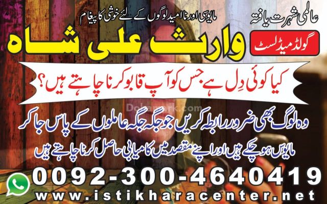 Love problem solution astrologer america love problem solution sp