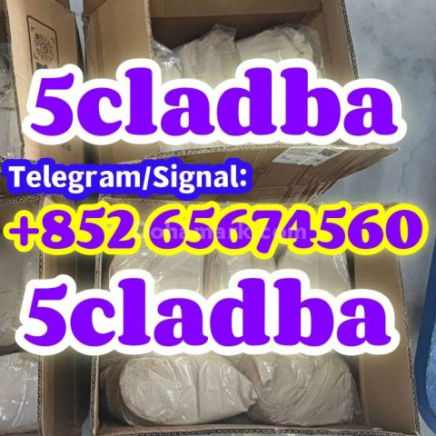 5cladba خام adbb 5CL-ADB-A 5cladba 5f-adb   اتصل بـ شيري   تليجرا
