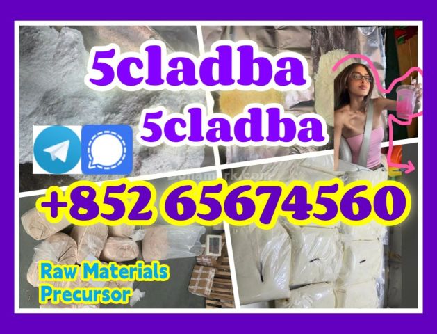5cladba خام adbb 5CL-ADB-A 5cladba 5f-adb   اتصل بـ شيري   تليجرا