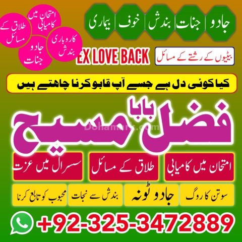 Amil Baba Expert Spiritual Consultation for Family